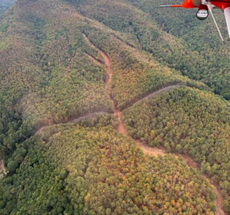 Aerial view of forested area with landslide