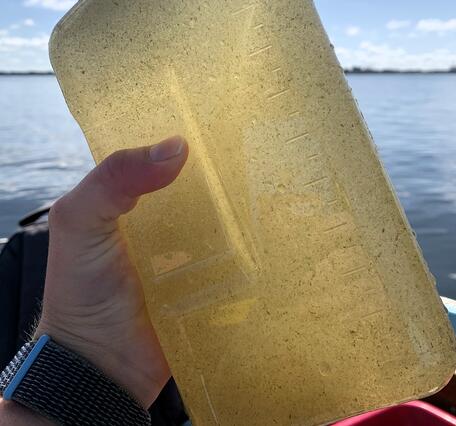 A scientist's hand holding a plastic sample bottle filled with yellow lake water, with lake in the background