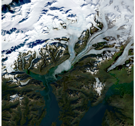 Landsat image of Columbia Glacier in 2025.