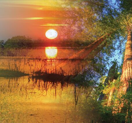 Landsat Benefits webpage banner 