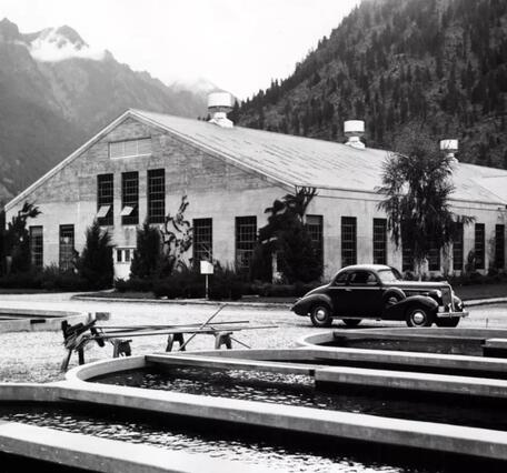 Leavenworth National Fish Hatchery is shown in 1947 with concrete containment ponds in the foreground and mountains in the background