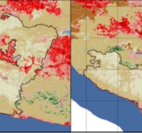 An image of the linear artifacts in the Annual NLCD product.