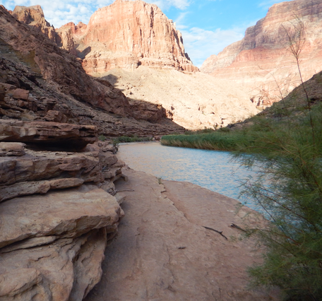 The light blue Little Colorado River winds through a rocky canyon in Grand Canyon