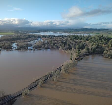 birds eye view of a road sparsely lined with trees is surrounded by flood waters