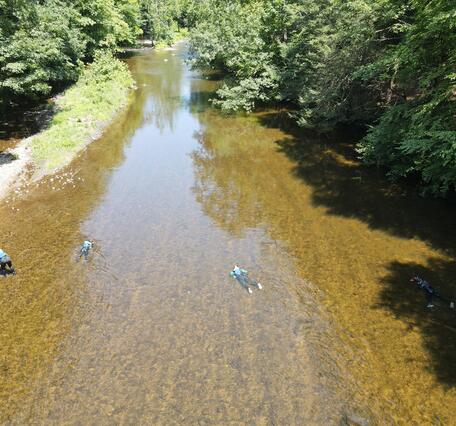 Researchers perform a mussel survey 