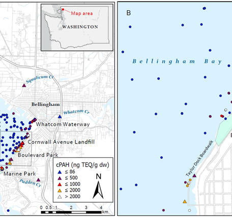 Map of Bellingham Bay contaminant study area