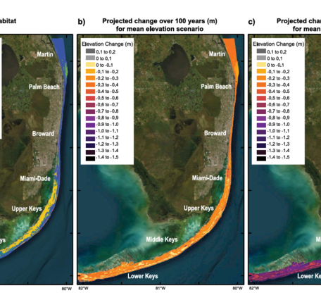 Maps showing FL coral reef degradation
