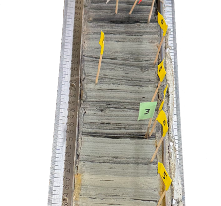 A section of a sediment core collected near the Amazon River in Brazil