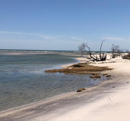 Wilderness Inlet, Fire Island, NY