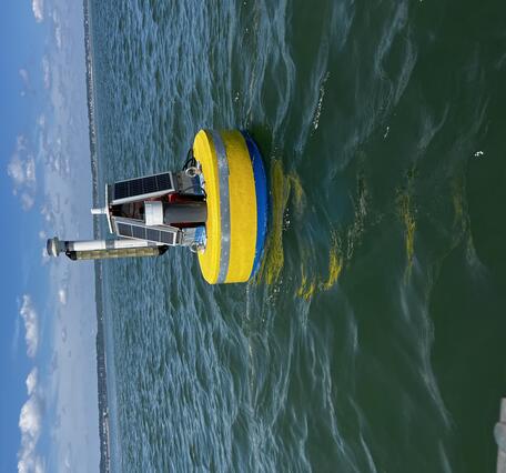 A yellow buoy in a bay.