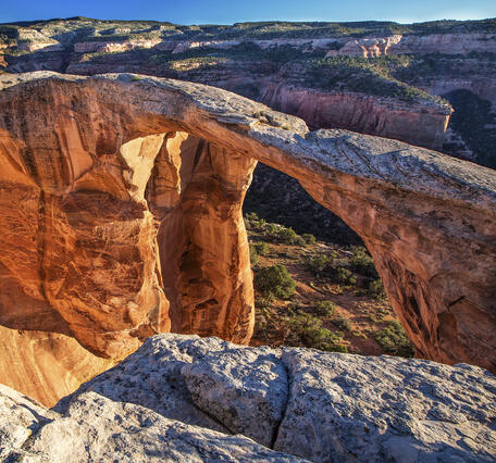 red rock arches over a canyon, with shrubs covering nearby rocks and blue sky above