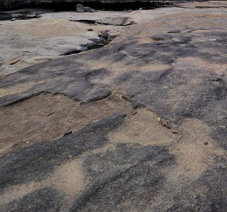 Image of a large, flat rock outcropping in Georgia. 