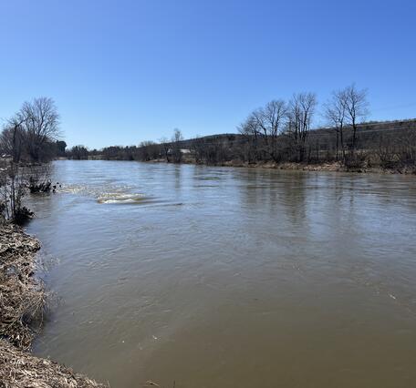 A view of a large river with barren landscape and trees in the background. 