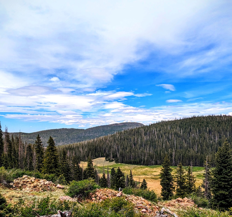 A forested mountain range stretches into the distance, with blue sky and clouds overhead