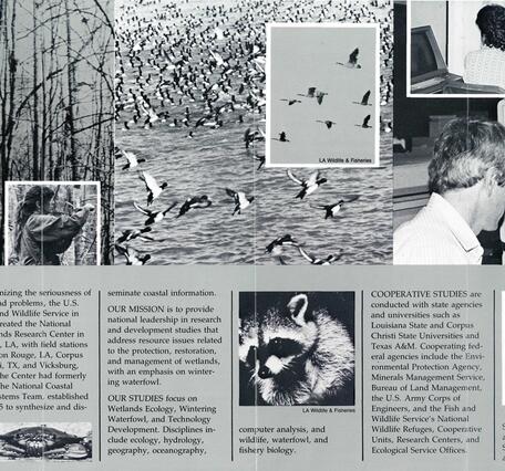 Image taken from 1980's brochure for the National Wetlands Research Center. Image shows a collage of wetlands, waterfowl, and a researcher sitting at a computer analyzing landcover