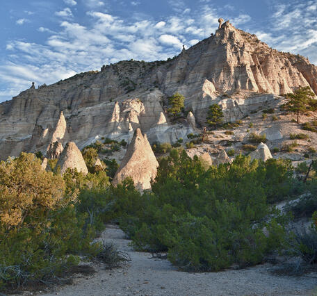 New Mexico Landscape light colored mountain range with blue sky white clouds and yellowish green trees