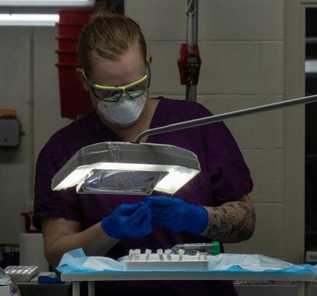 USGS scientist holds a tube with a skin swab from a salamander.