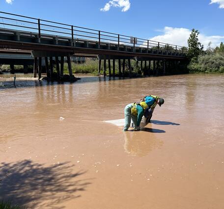 Two USGS employees stand in a slow-moving stream, collecting a surface water sample. 