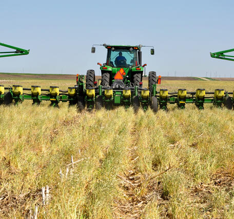 A tractor with a cab pulls a 16-row planter through a field containing a grain cover crop