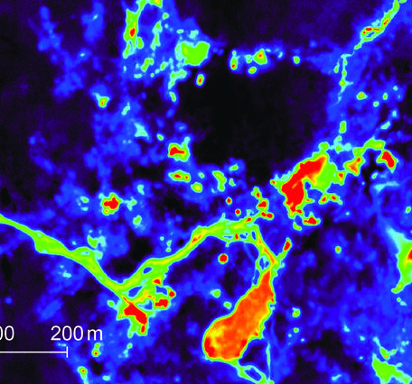 anastomosing patterns of color denote isolated hot springs and warm streams draining hydrothermal thermal features