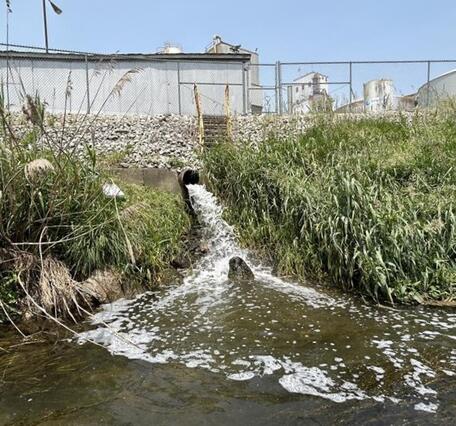 Treated wastewater from soybean processing facility discharged into adjacent stream