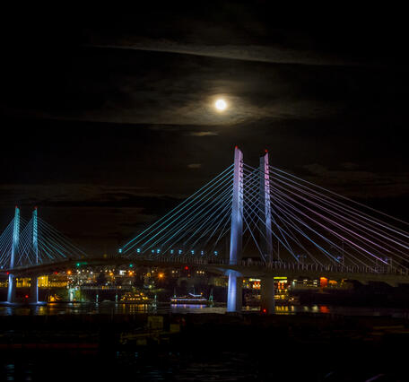 green, blue, purple and pink lighting on the bridge during a moonlit night