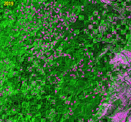 Animation of logging in Oregon