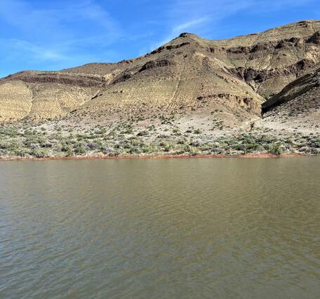 image of brown lake near mountains