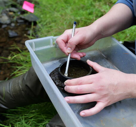 Scientist brushes rock in container