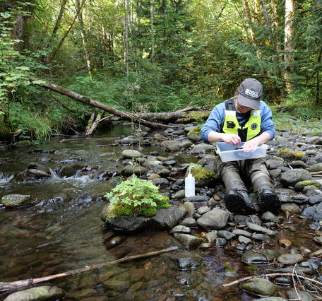 Scientist sits next to stream with sample container