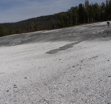 Gray flowage deposit on white ground, with lodgepole pine trees and blue sky in the background