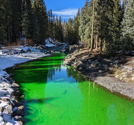 Image of green dye in water during dye tracer study on the Slate River