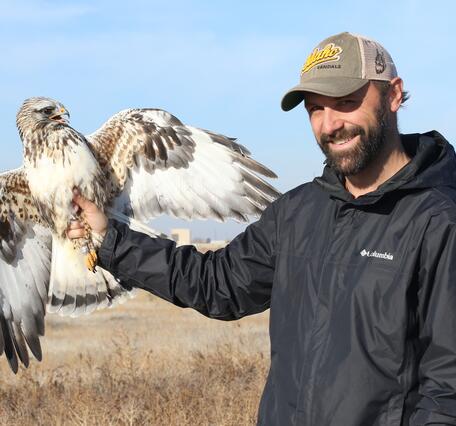 Neil Paprocki holding a hawk banded for study.
