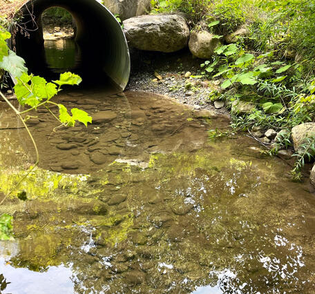 Downstream Side of Culvert at USGS Streamgage 01333900