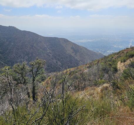 vegetation covered hillslopes
