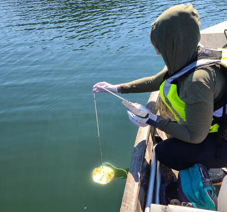 USGS scientist lowering Secchi disk into a lake from a bot