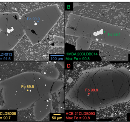Four grayscale images of slices of angular crystals with bright rims and darker interiors, surrounded by flecks of light gray crystal fragments like confetti. Some of the crystals have bright white patches where inclusions exist, and some have dark cracks running through them. Colored text and dots show where chemical analyses were conducted with an electron beam