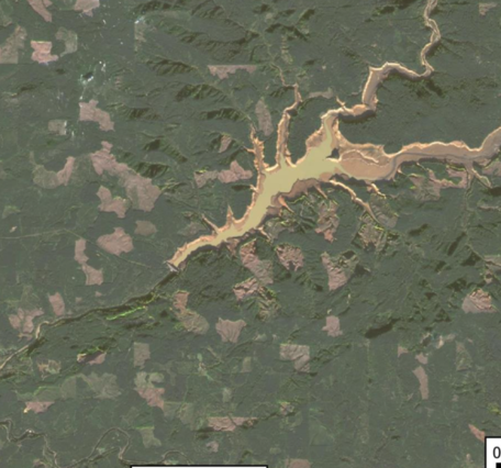 satellite image: Green forest land surrounds two reservoirs with brownish-green water 