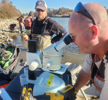 Man next to stream looking into microscope with people in the background conducting fieldwork