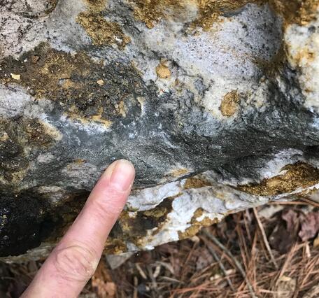 CH-425 mineralized silicified cataclasite