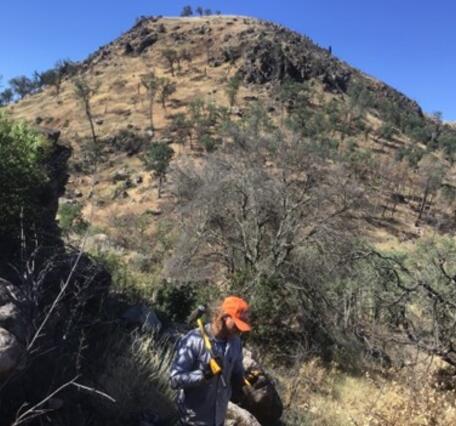 A geologist wearing an orange cap, blue shirt, and work gloves holds a rock and a large sledgehammer. He is standing in a brushy clearing amid large gray boulders. Behind him, a steep rounded hill is scattered with similar boulders and topped by a thick lava flow covered in spindly trees and sagebrush.