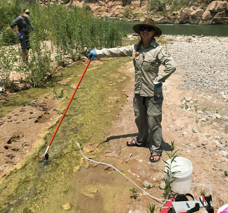 A woman with a USFWS shirt holds an eDNA sampler in Spencer Creek that flows into the Colorado River
