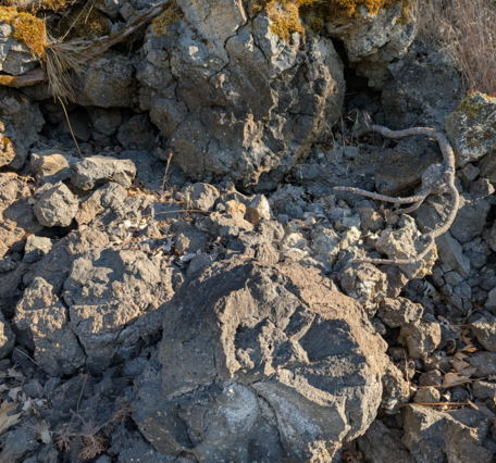 Dark gray rounded boulders of basalt sit in the middle of a field of dry grass. The boulders are split by radial cracks.