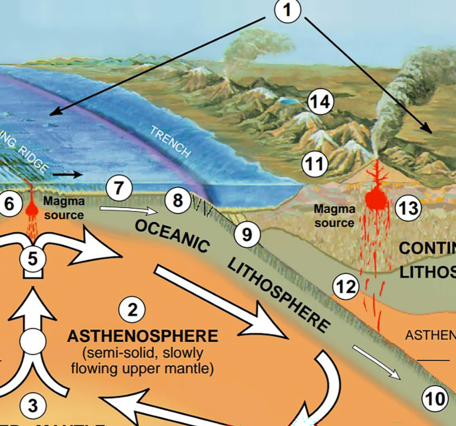 Illustrations of Plate Tectonic Map