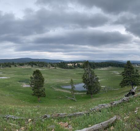 Grassy bowl-like valley, with a few sporadic trees and pools of water. Dark clouds cover the sky.