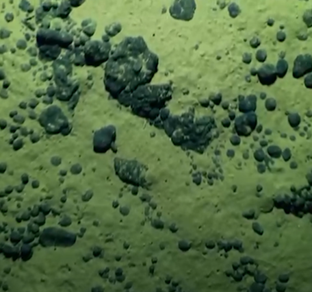 Polymetallic nodules on the seafloor offshore of American Samoa
