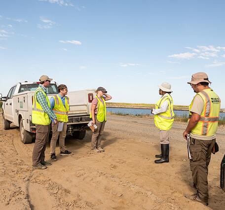 Five scientists in hats and bright green safety vests stand on the sand near two pick-up trucks.