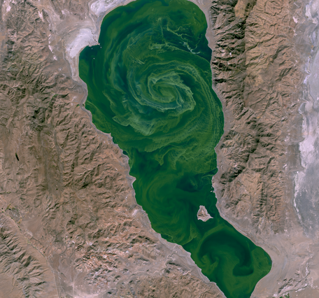 A satellite picture of a lake with an algae swirl