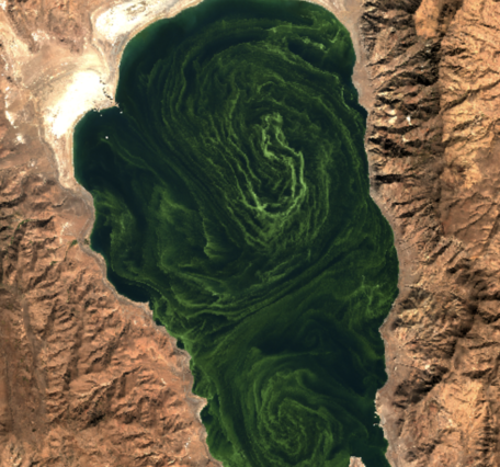 WaterMAP screenshot of Pyramid Lake, NV Sentinel-2 satellite aquatic reflectance on 10/15/2026