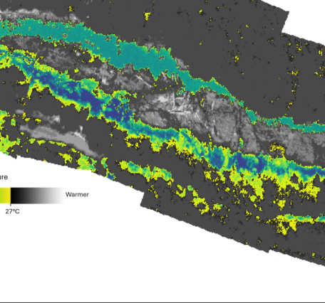 Thermal infrared mosaic of Quartzville Creek, OR, with scale bar